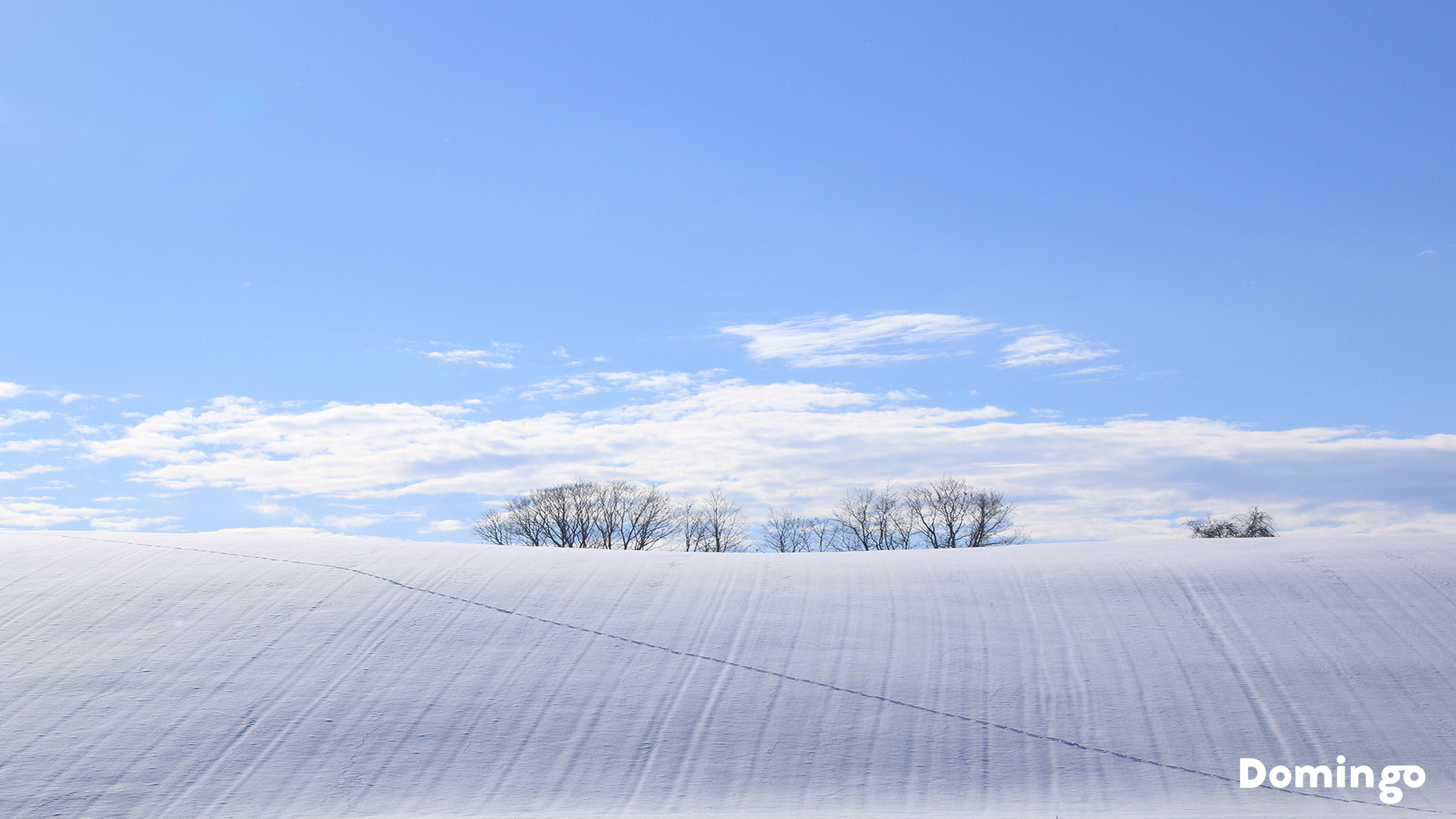Domingo 公式 市町村公認 北海道の情報メディア Pa Twitter バーチャル背景 オリジナル壁紙 In Hokkaido また 新千歳空港 北海道ぐるっとシアター の協力で北海道各地の絶景や名所のバーチャル背景を無料で配布します オンライン会議やパソコンの壁紙