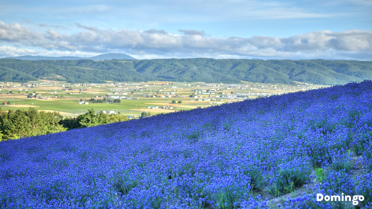 Domingo 公式 北海道市町村公認アプリ バーチャル背景 オリジナル壁紙 In Hokkaido また 新千歳空港 北海道ぐるっとシアター の協力で北海道各地の絶景や名所のバーチャル背景を無料で配布します オンライン会議やパソコンの壁紙に利用可能