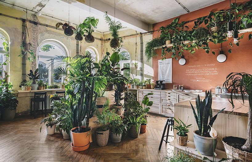 lacriaturacreat's tweet photo. Así es como IKEA imagina «el hogar del mañana»: una casa llena de vegetación con un huerto como «corazón» >>> https://t.co/TKkjMea1Rg https://t.co/OTr4qnZzz8