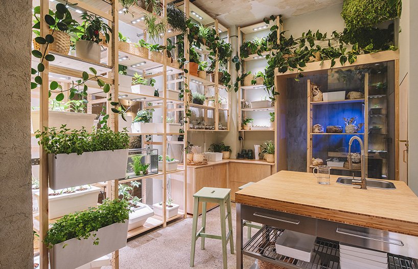 lacriaturacreat's tweet photo. Así es como IKEA imagina «el hogar del mañana»: una casa llena de vegetación con un huerto como «corazón» >>> https://t.co/TKkjMea1Rg https://t.co/OTr4qnZzz8