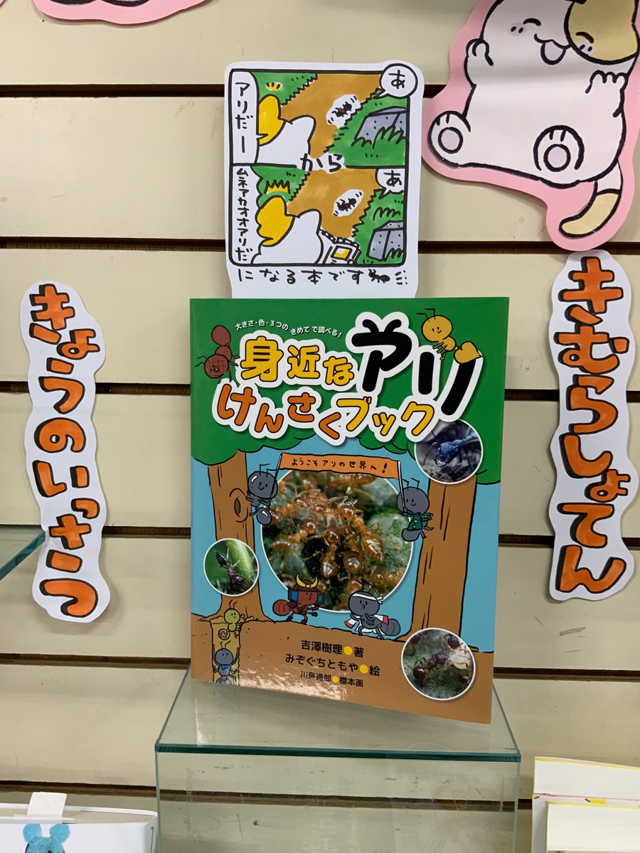 アリハウス 公式 蟻 Araya17arinko Twitter