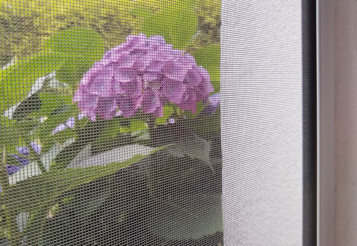 GrupoAlumisan's tweet photo. Empezar el #verano contemplando las flores es un placer, y mucho mayor si es a través de unas #mosquiteras que impiden la entrada de #mosquitos e #insectos del modo más #natural.
✅ En #GALPER fabricamos mosquiteras a medida.
#BienvenidoVerano de la #NuevaNormalidad https://t.co/MscXbTriU0