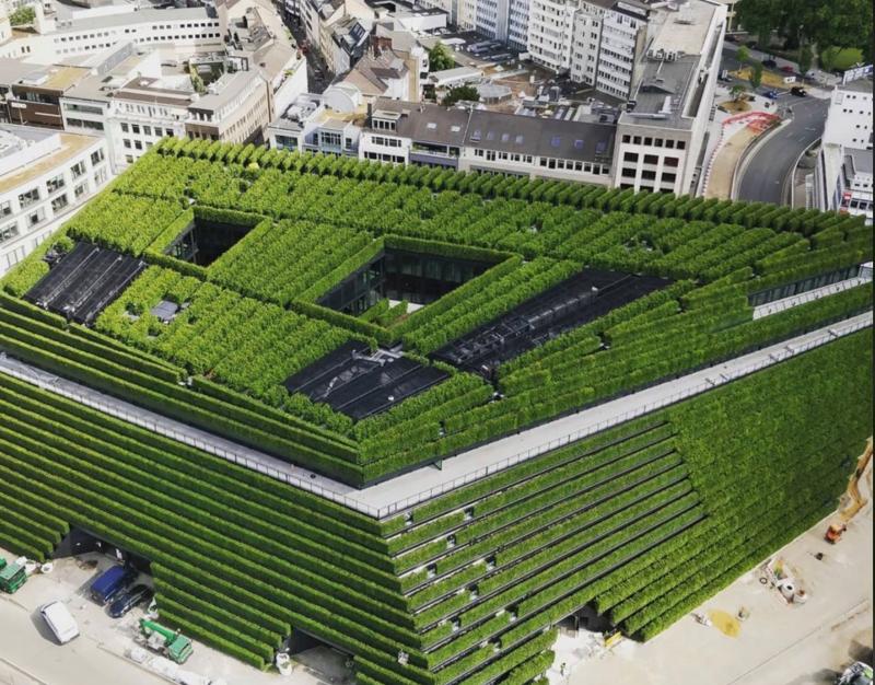 Navına Pan tweet media