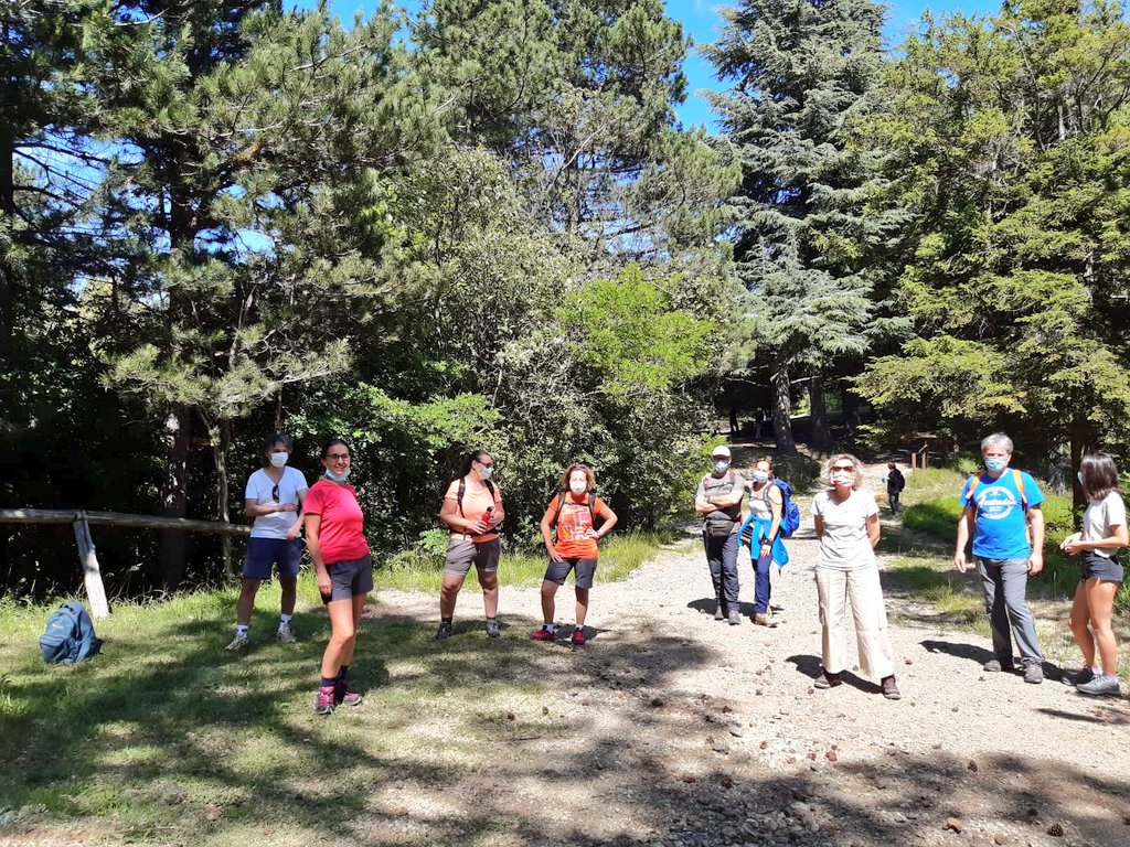 ParcoBeigua's tweet photo. Eccoci a Cima Deiva a guardare il mare, dopo aver percorso insieme a Monica uno dei nuovi sentieri che attraversano la Foresta.
Davvero un peccato che non possiate sentire il profumo dell'elicriso che ci avvolge!!! #Beigua https://t.co/I0HpPmMTOj