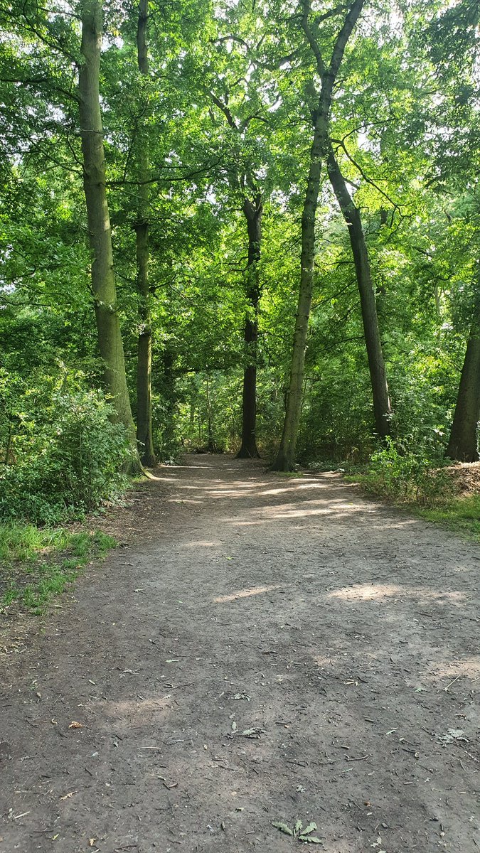 RoyalPark_Y5_EP's tweet photo. Good morning everyone. I hope you all had a great weekend. What did you get up to? I enjoyed plenty of walks in the wonderful weather we had. 😊☀️ https://t.co/cFiqXeGFRK