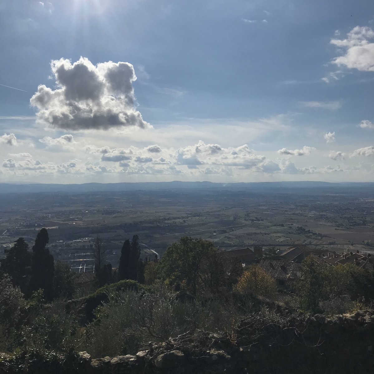 thanks thanks thanks tweet media