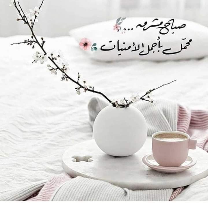 EngEm10's tweet image. 