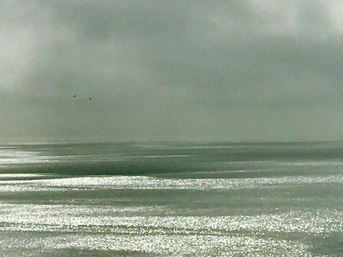 greigburgoyne's tweet photo. La mer scintillante #jour34 https://t.co/PiNbINICpb