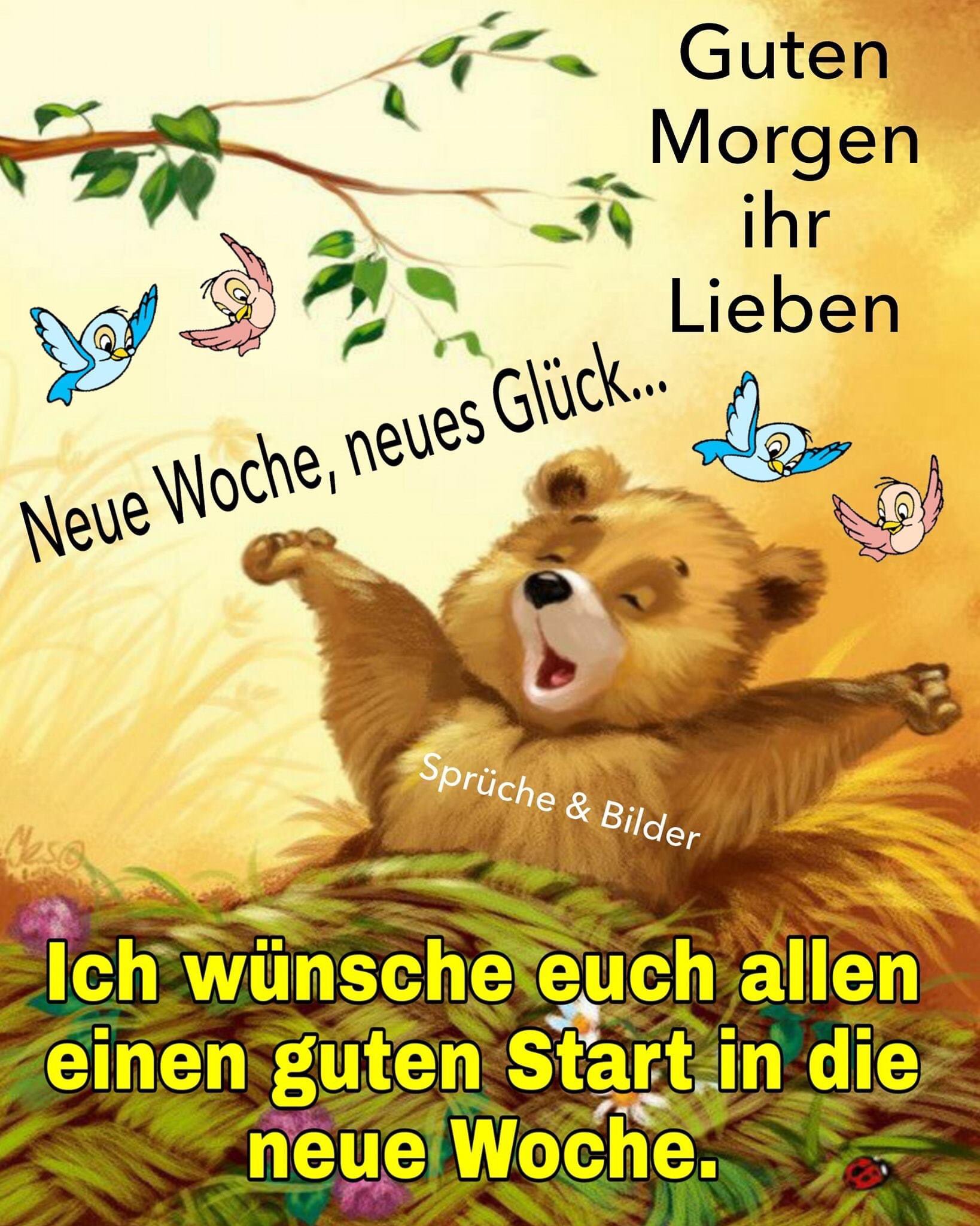 Start neue woche sprüche die schönen in Thema anzeigen