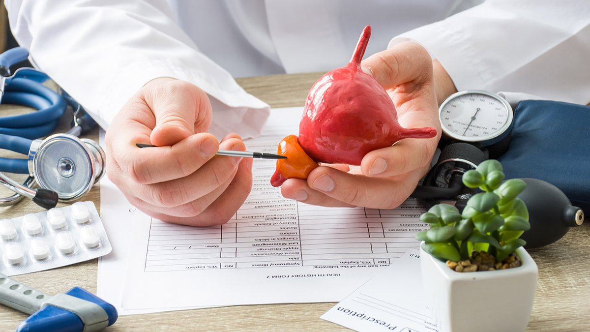 prioritesante's tweet photo. La #prostate est une glande de l’appareil génital masculin. #Cancer de la prostate, hypertrophie bénigne… Les maladies de cette glande sont souvent diagnostiquées tardivement. Nous en parlons à 9h10 TU sur @RFI https://t.co/B4pENBkGIP