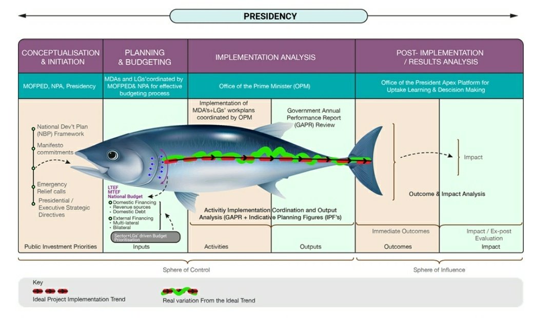 This fish analogy framework explains how public projects are conceptualised, designed, implemented & how results analysis is conducted at each stage. The Apex Platform will be at the tail end of the fish for effective appreciation of evidence based intervention results.