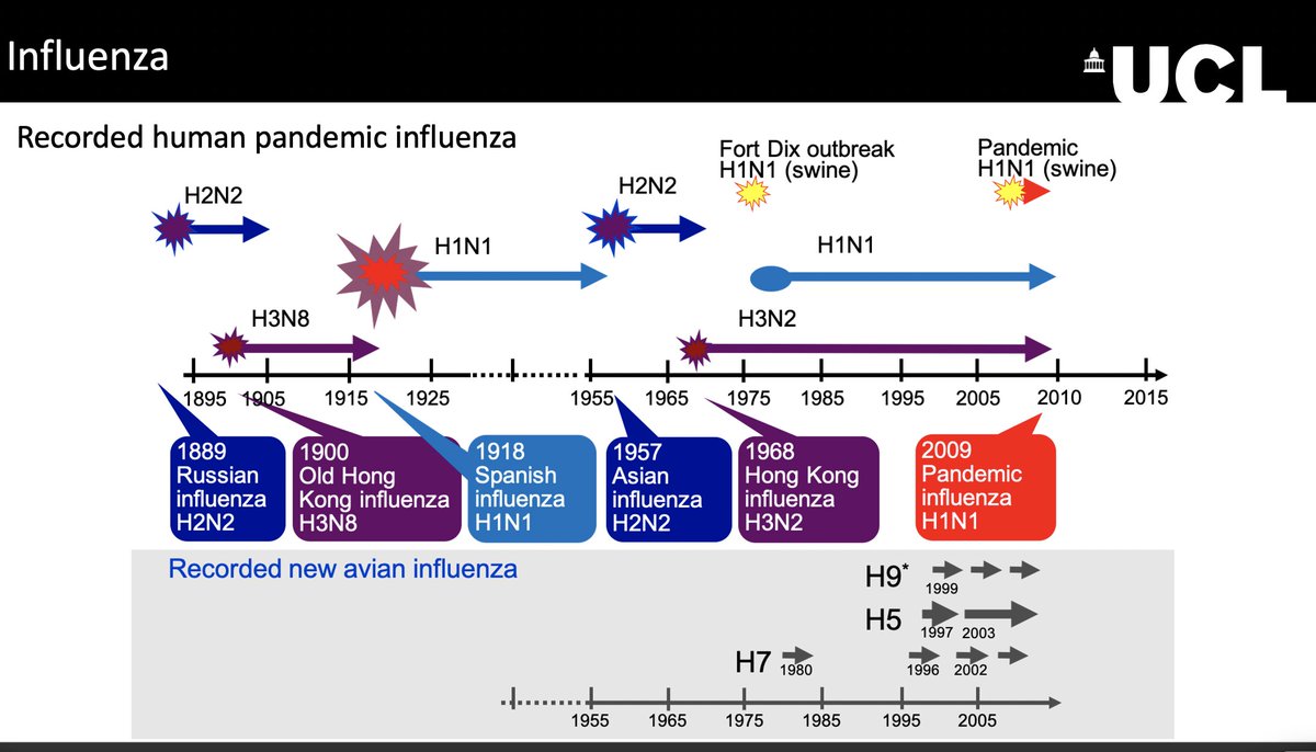 The three lineages of Influenza A in circulation today are descendants of those that caused the 1918/19 H1N1, 1968/69 H3N2 and 2009 H1N1 influenza pandemics. All three have since become endemic as the population acquired immunity to them.(4/6)