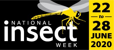 Our website has lots of things to help appreciate the #littlethingsthatruntheworld during National Insect Week 2020

nationalinsectweek.co.uk

#NIW2020 #EntoAtHome #likeinsects #littlethingsthatruntheworld #insects #entomology