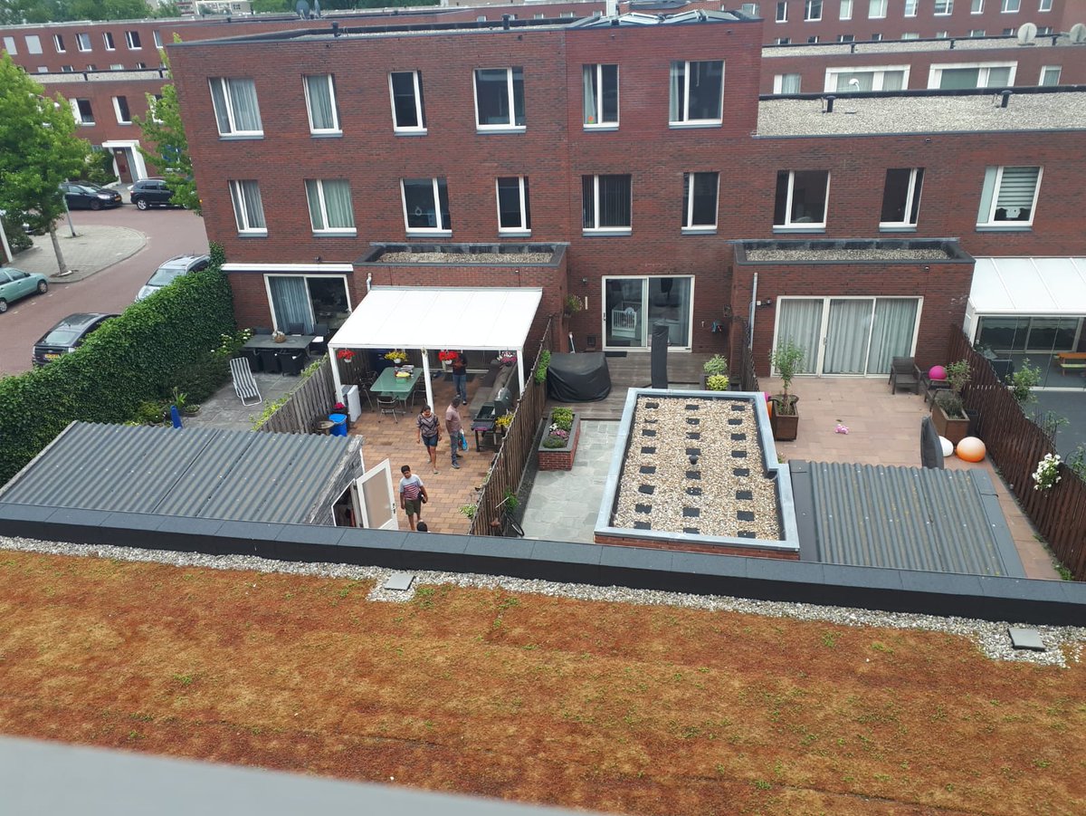 010stadsecoloog's tweet photo. Tja, zo wil je het eigenlijk niet zien. In voorgrond groen dak (sedum, maar beter dan niets), echter tuinen van woningen erachter allemaal grotendeels betegeld..... (en nee, zowaar niet in 010 dit) https://t.co/JYMRCOFsgv