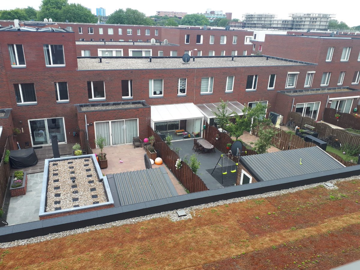 010stadsecoloog's tweet photo. Tja, zo wil je het eigenlijk niet zien. In voorgrond groen dak (sedum, maar beter dan niets), echter tuinen van woningen erachter allemaal grotendeels betegeld..... (en nee, zowaar niet in 010 dit) https://t.co/JYMRCOFsgv