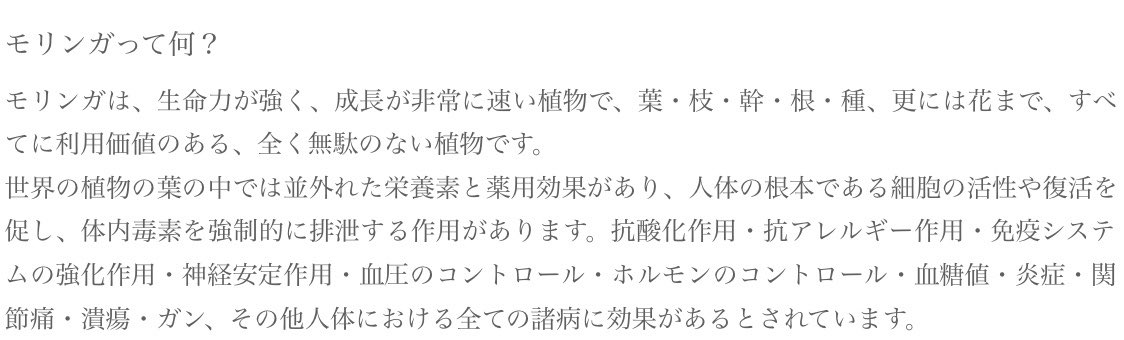 モリンガパウダー モリンガパウダー