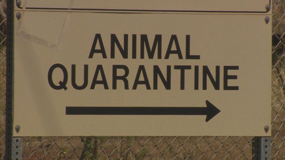 sanverdotcom's tweet photo. https://t.co/qUkJGXUX1H
A great premium .org domain name for public service providers in the field of animal quarantines.
π° Buy Nowπ°
#quarantine #quarantine2020 #animalhealth #animalwelfare
#domainname #domainforsale #premiumdomainnames #domainbroker
#sanver @sanverdomains https://t.co/UtQjNqEjZ3