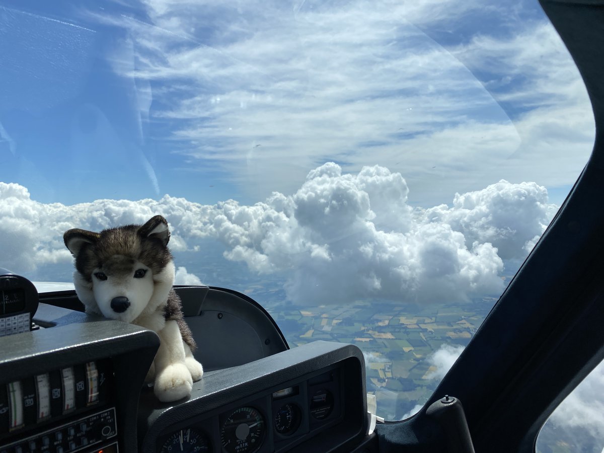 TaniDaReal's tweet photo. Spent the weekend North of Germany at a fly-in, camping for one night 😊 What a nice short “vacation” in the time of social distancing. #wolfpilot https://t.co/FqNmztW8bX
