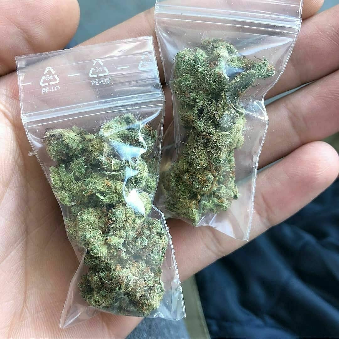 Jacksonplug6 tweet picture