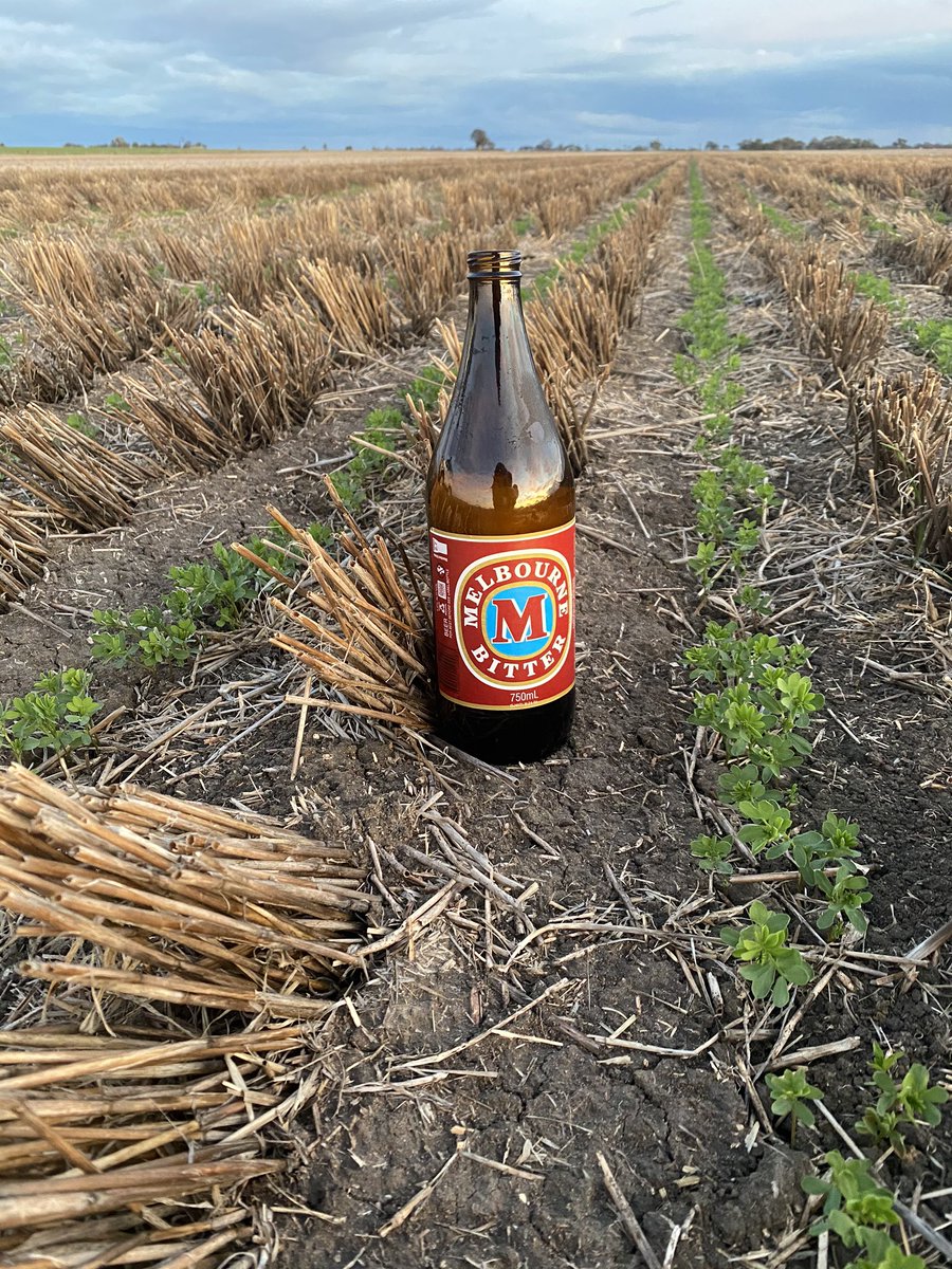 Ryan Milgate tweet media