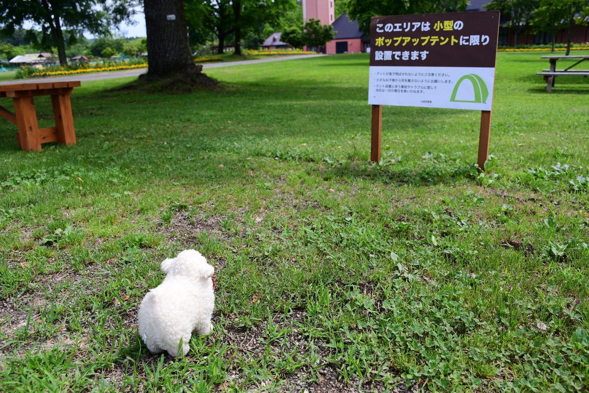 小岩井 農場 まき ば 園