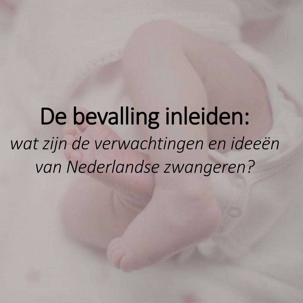 Jeroen van Dillen tweet media