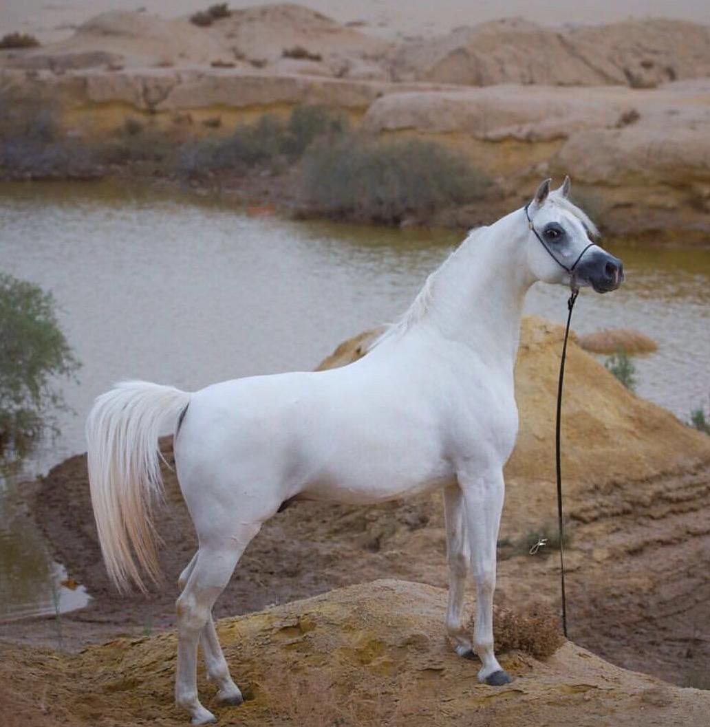 ❤   ليس الحب
أن تأخذ مكان شخص ما
ولكن أن تخلق مكانا لايمكن لأحد أن يأخذه  ..!❣