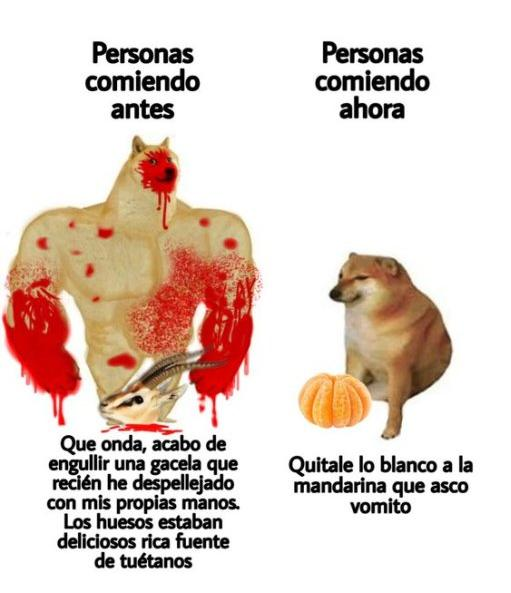 BioTay's tweet photo. Me ha recordado terriblemente a la madre macaco del vídeo de abajo https://t.co/LDxv7gHck8