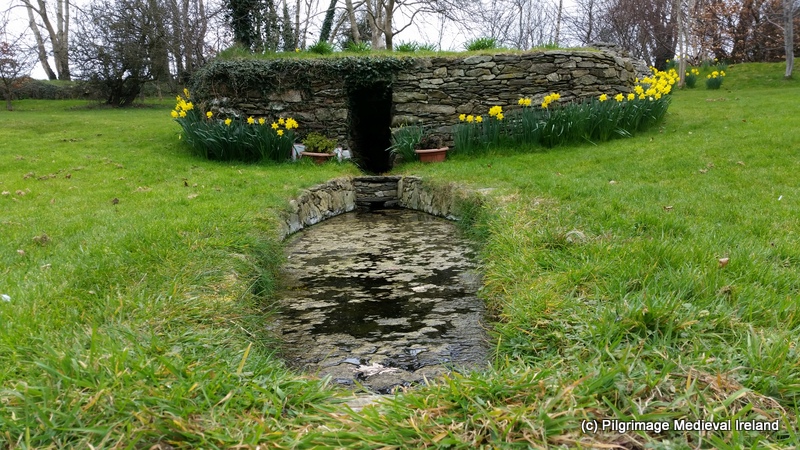 lorraineelizab6's tweet photo. 22 June: St Crunnmáel mac Rónáin of Berrech/#Barragh, #Cranavane, Co #Carlow. Church & holy well on site (@PeritiaEditors). Local tradition is it was founded by St Finian (who was born at nearby Myshall). A stone at site said to bear his footprint! https://t.co/DyWF5uzX2s https://t.co/t6uuns8Tds