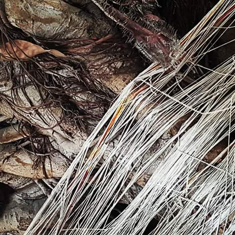 jyotiartists's tweet photo. My click📸
#Naturelove
#NaturalSelection
#natureinstinct
#naturebeauty https://t.co/nWHzjhroAT