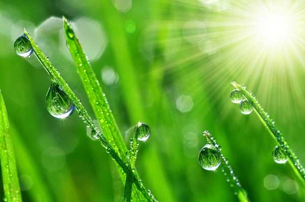 OfficialSamDawn's tweet photo. Perla di rugiada
raccolta dal bambino,
subito svanita.

~ Kobayashi Issa

#issa #haiku
#buongiorno #22giugno https://t.co/eaIzsSRVCH