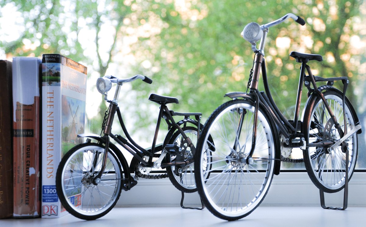 IndonesianBikes's tweet photo. Better start the weekend with cycling and reading a book! Pretty fortunate to be in Rotterdam where you can get away from the city in 10 min biking!

#IndonesianBikes #rotterdam #netherlands #omabikes #omafiets #miniaturebikes #handmade #creative #local #craftsmen #giftideas https://t.co/35jYCBn9EH