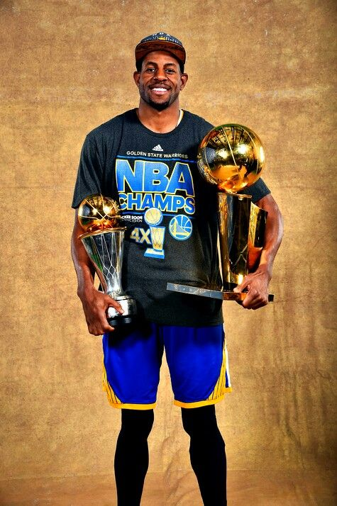 2015 Finals MVP - Andre Iguodala2015 Finals Series: 16.3pts, 5.8rbd, 4ast, 1.3stl, 0.3blk. 52.1 FG%, 40 3P%, 35.7 FT%.Iguodala's injection into the starting line-up proved the difference as the Warriors claimed their first title in 40 years.