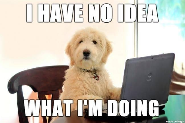 CamanavaPack's tweet photo. We feel you bud. How's your Monday fam? https://t.co/DwKY8jWiSZ