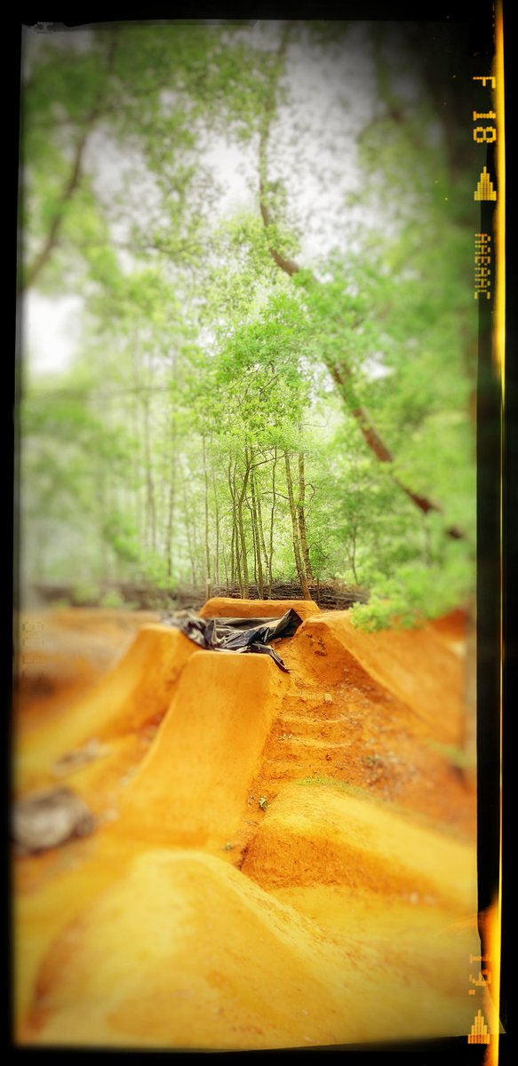 stevegeall's tweet photo. Roll on Wednesday,  it's more of this 🤘
#woods #jumps #happyplace https://t.co/qOdcwt5Toa