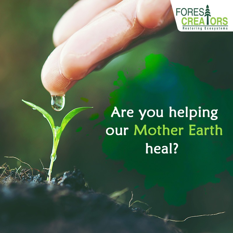 forest_creators's tweet photo. We are #ForestCreators are trying to heal Mother #Earth by creating #Forests. Are you doing your part?
To know more about us, click on https://t.co/1lOU9LM30b
#ecosystems #MiyawakiTechnique #tree #forest #GreenindiaChallenge #oxygen #CSR #corporatesocialresponsibility https://t.co/hhyXKWfiIL