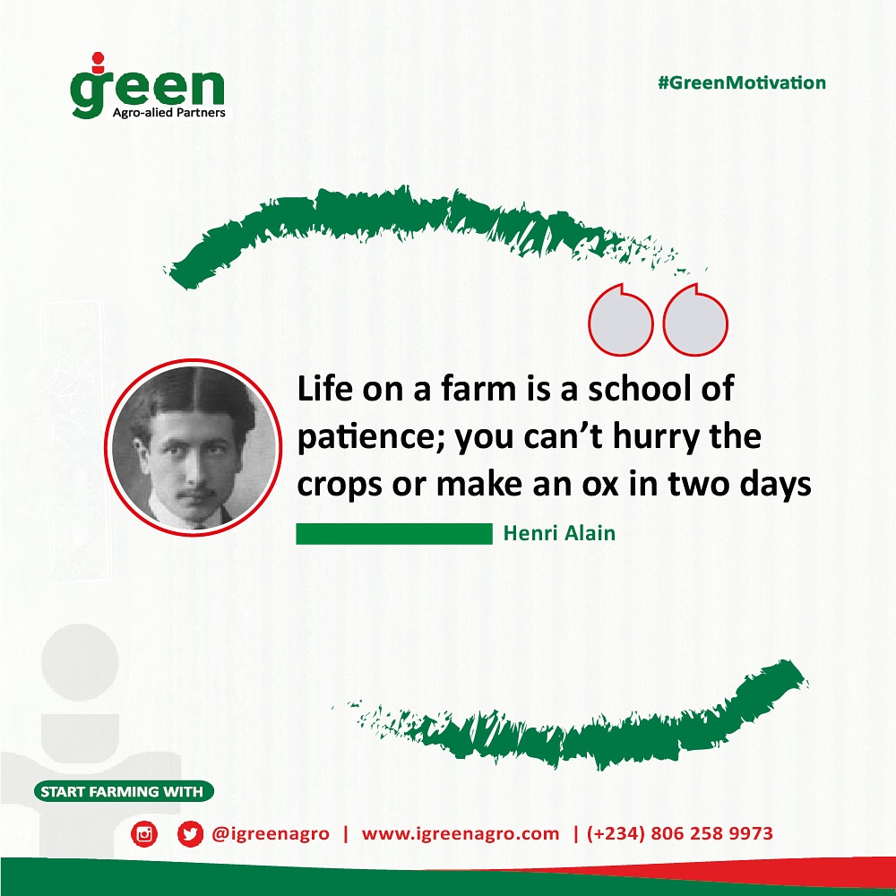 Remembering the words of Henri Alain, it is also important to note that patience is not the ability to wait, but the ability to keep a good attitude while waiting.

Let these words be your anchor this week, beyond.

#igreenagro #greenmotivation #henrialain  #farming #covid19
