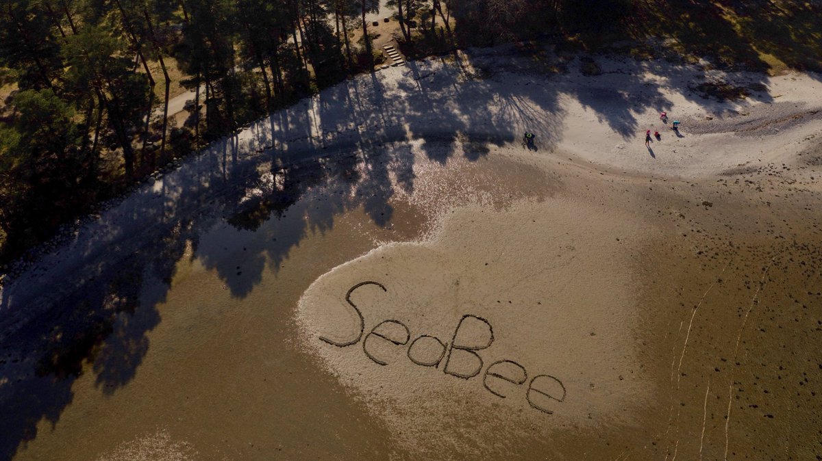 SeaBeeNorway's tweet photo. To mark our project kick off, we’re giving away a DJI Magic Mini #drone! Recreate the SeaBee logo, take a picture &amp; tag @SeaBeeNorway #SeaBeeGiveaway for the chance to win your very own “sea bee”! More info: https://t.co/PZYR6lO4kd https://t.co/ghy7GQRdti