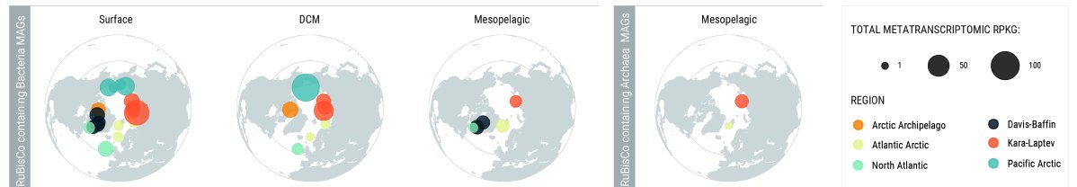 Microbiome Analysis Laboratory, CNB-CSIC tweet media