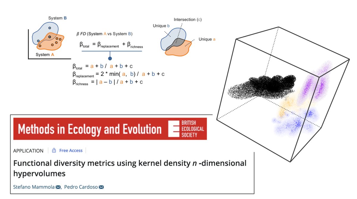 stefanomammola1's tweet image. Free access in @MethodsEcolEvol – new R functions to calculate functional diversity metrics with n-dimensional hypervolumes. doi.org/10.1111/2041-2…

If you want to try it out, an example of R script and analysis here: doi.org/10.6084/m9.fig…

@rstatstweet