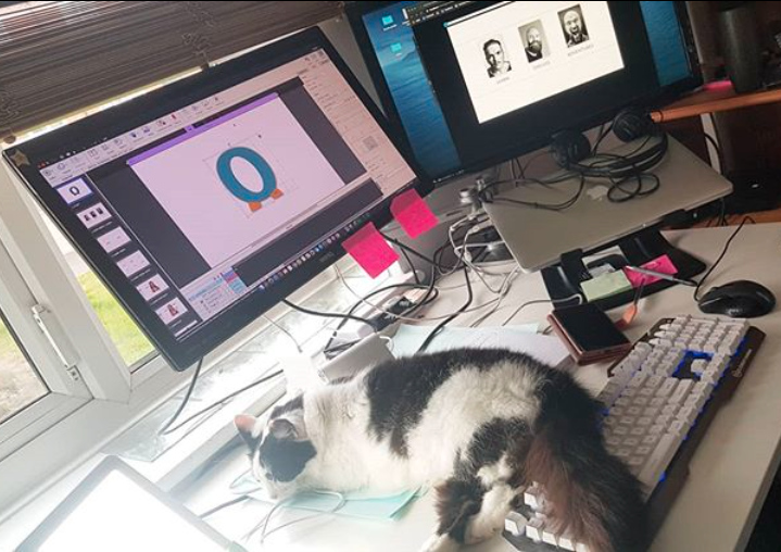 ORCCAtogether's tweet photo. A typical Monday in the ORCCA office! 
#WorkingFromHome #AnimalsWorking #Cats #CatsWorking #CatPictures #MondayMotivation https://t.co/KFCTs8HhJC