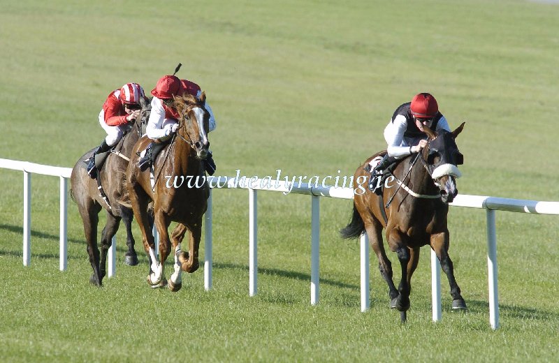 #FromTheArchives 15 years ago today 22-6-2005 @NaasRacecourse 'Unique Pose' and @patjsmullen win for owners @MoyglareStud and trainer Dermot Weld from Ballet Dancing (Niall McCullagh). (c)healyracing.ie