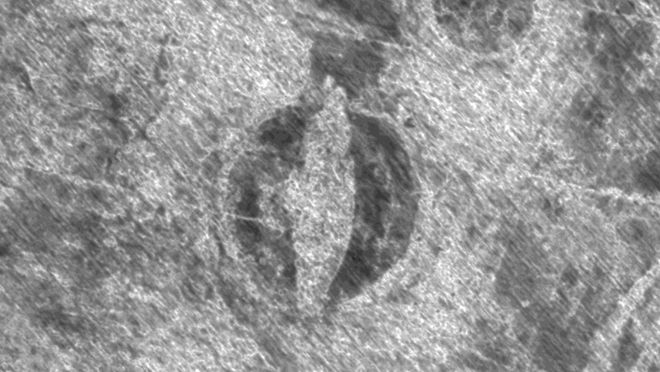 Prof Cat Jarman FSA💀 tweet media