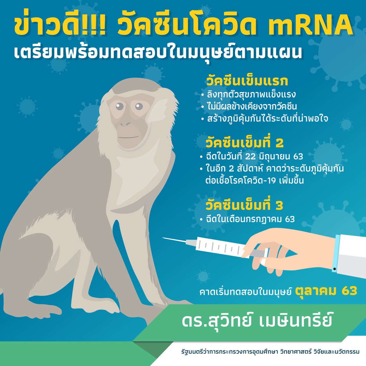 Dr_Suvit's tweet photo. ข่าวดี!!  ลิงสร้างภูมิคุ้มกันต่อโควิดหลังได้รับวัคซีนเข็มแรก และวันนี้ฉีดวัคซีนเข็มที่ 2 ครับ คาดว่าจะเริ่มทดลองฉีดในคนได้ช่วงเดือนต.ค นี้ครับ 
#วัคซีน #โควิด19 #COVID19 #MHESI 
รายละเอียดเพิ่มเติมตามนี้ครับ
https://t.co/NZYPnk4RW5 https://t.co/TMIXkujdmk