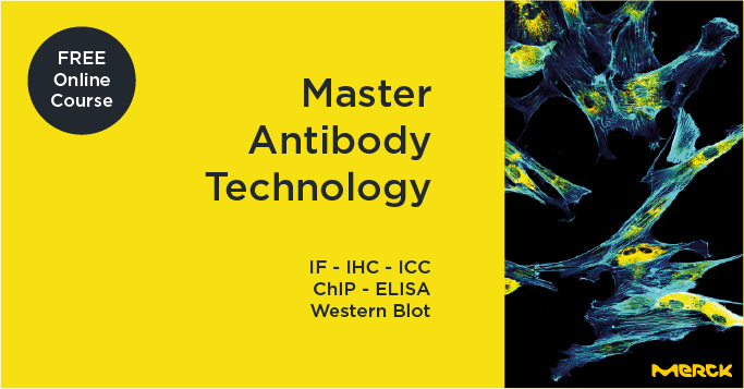 🧪 Master your Antibody Technology! This is an open-access online course which high-quality content to guide you and anyone in your lab to avoid common mistakes and excel in #antibody based techniques such as IF - IHC - ICC - ChIP - ELISA - Western Blot
obrizum.io/org/merck/user…