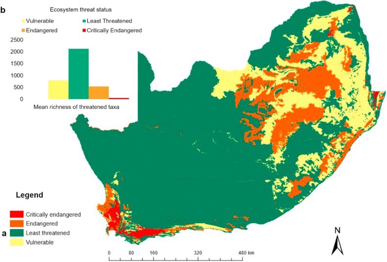 In our latest publication, Hoveka et al 2020 explore how the current South African protected areas network fails to adequately encompass threatened taxa, many of which are found in threatened ecosystems
authors.elsevier.com/c/1bDRu1R~eEi3c
#biodiversity #conservation