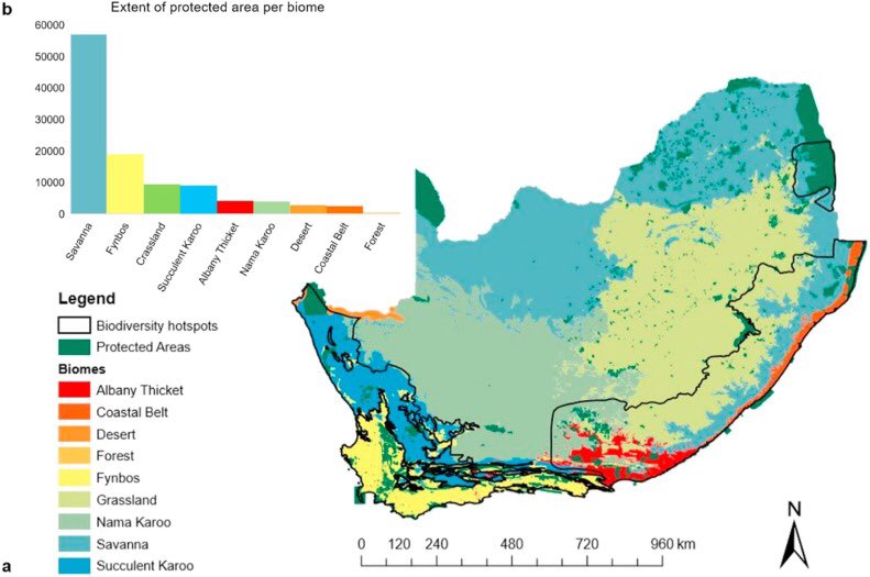 acdblab's tweet photo. In our latest publication, Hoveka et al 2020 explore how the current South African protected areas network fails to adequately encompass threatened taxa, many of which are found in threatened ecosystems
https://t.co/xG12lJR8Vh
#biodiversity #conservation https://t.co/WfVfw0mDXS
