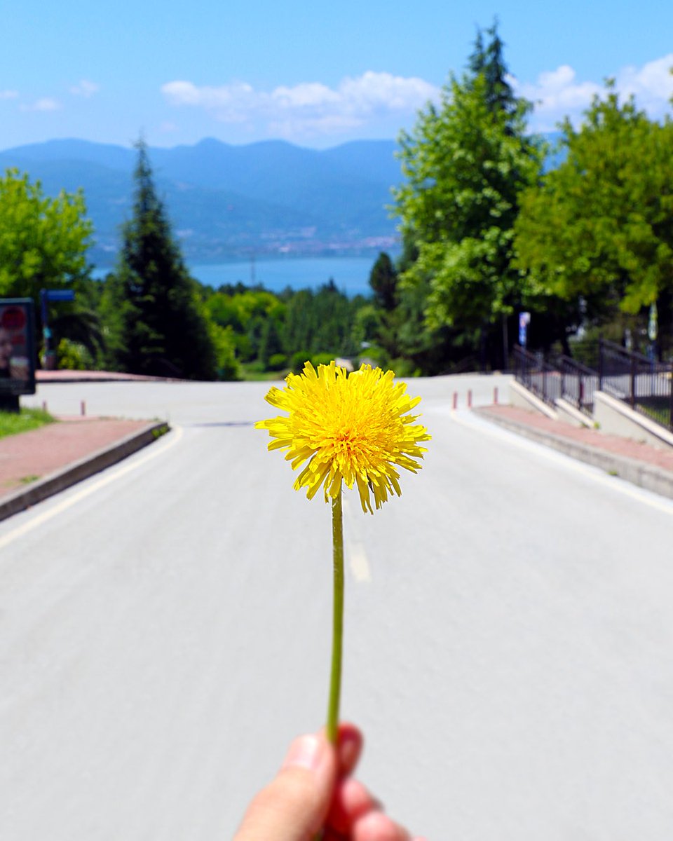 Cennetten çiçek... 🤔