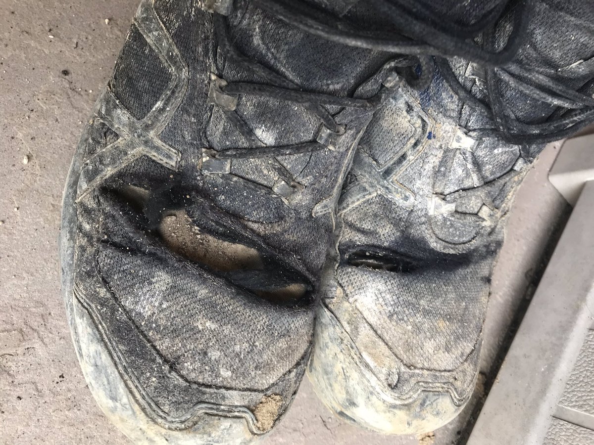 Zoe Crawford - Art tweet media