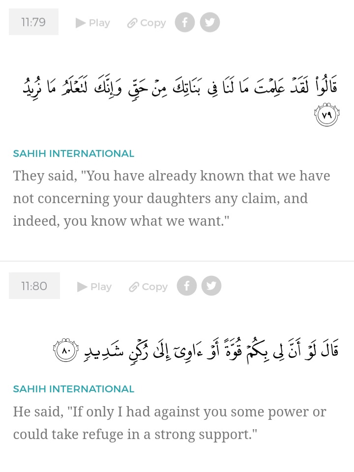 Hud (11:74-80)The tribe was out of control with their ‘perverse desires’. we can see the capacity for violence; Lot was scared that his guests would be sexually assaulted. These ayahs point out both homosexuality & the potential for rape. 6/n